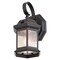 Vaxcel Wellington Aluminum 6-in. 1 Light Dusk to Dawn Medium Bronze Outdoor Wall Lantern Clear Glass T0738 - alternate 7